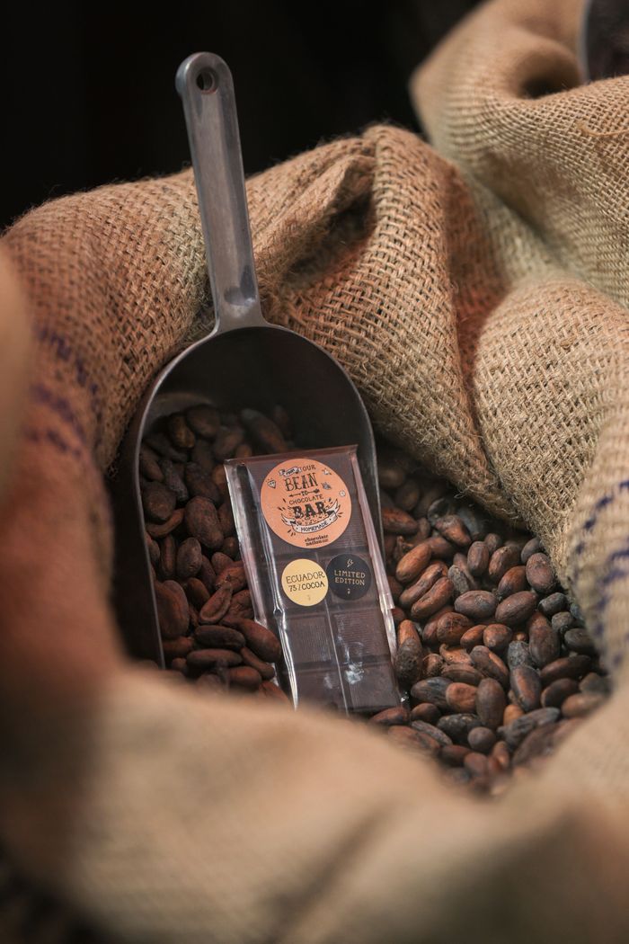 about-01 Chocolate bar in scoop on cocoa beans in burlap sack, showcasing premium chocolate production.