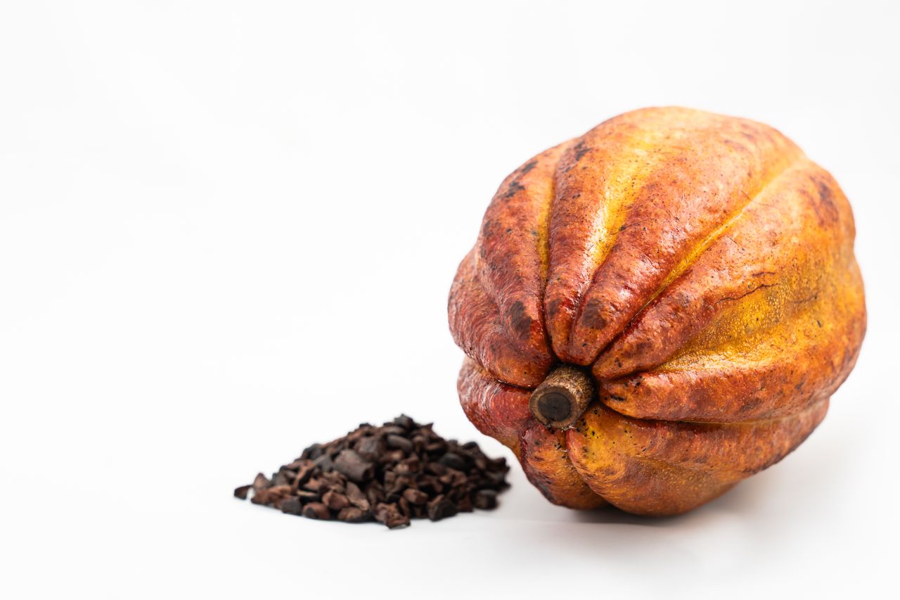 The Art of Drawing Readers In: Your attractive post title goes here Vibrant cocoa pod and cacao beans on a white background, perfect for food industry visuals.
