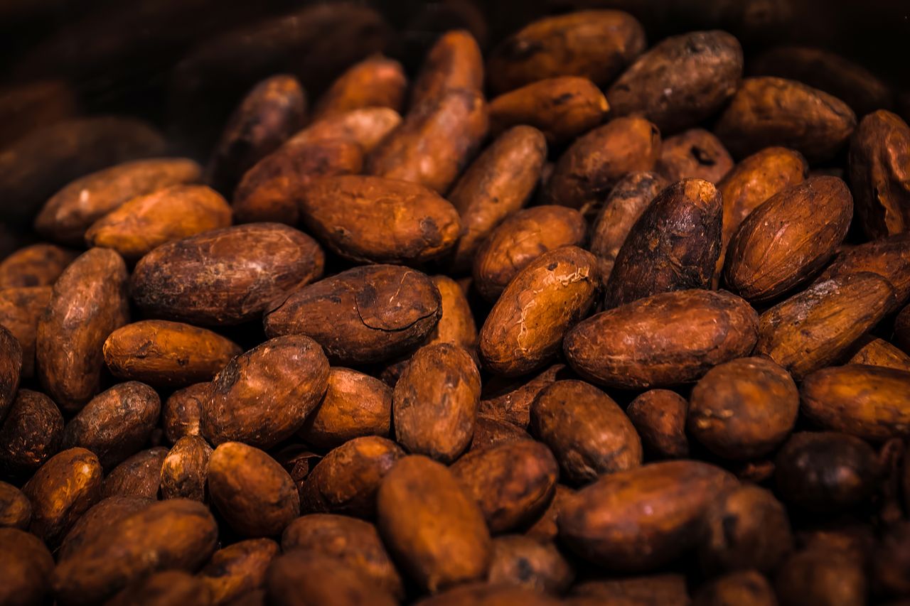 Mastering the First Impression: Your intriguing post title goes here Rich and detailed close-up image of roasted cocoa beans, perfect for food industry visuals.