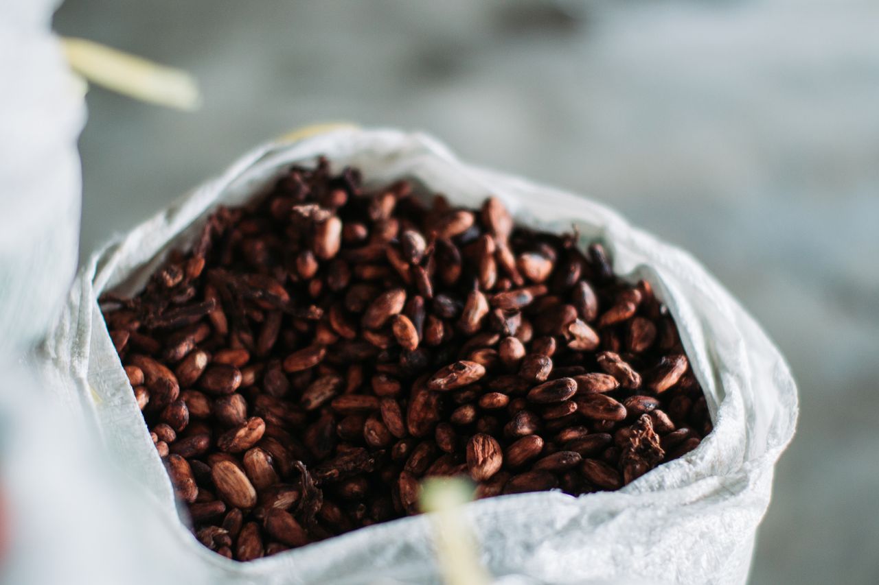 Crafting Captivating Headlines: Your awesome post title goes here Close-up of aromatic cocoa beans in a sack, sourced from Indonesia.